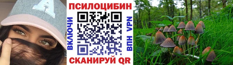 наркотики  Ликино-Дулёво  Псилоцибиновые грибы мухоморы 