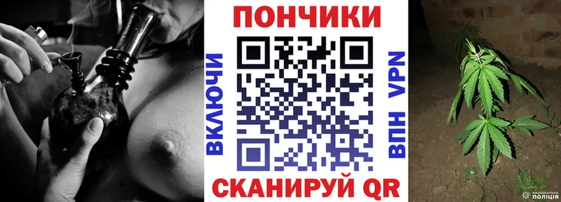 OMG   Ликино-Дулёво  Каннабис сатива  купить  